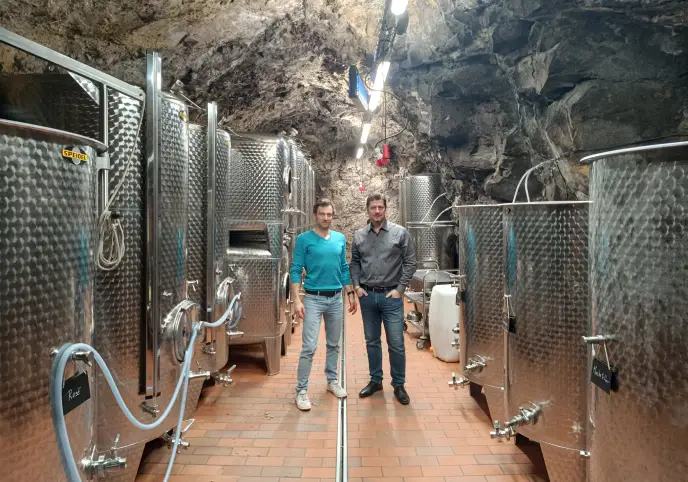 Franz Zottl borászat Wachau