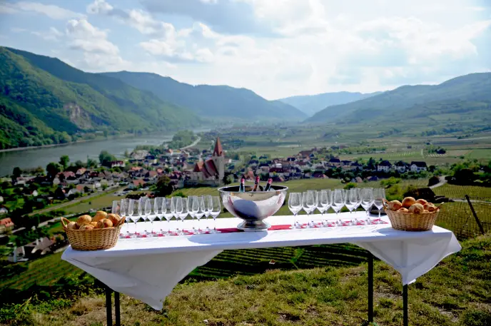 Franz Zottl borászat Wachau